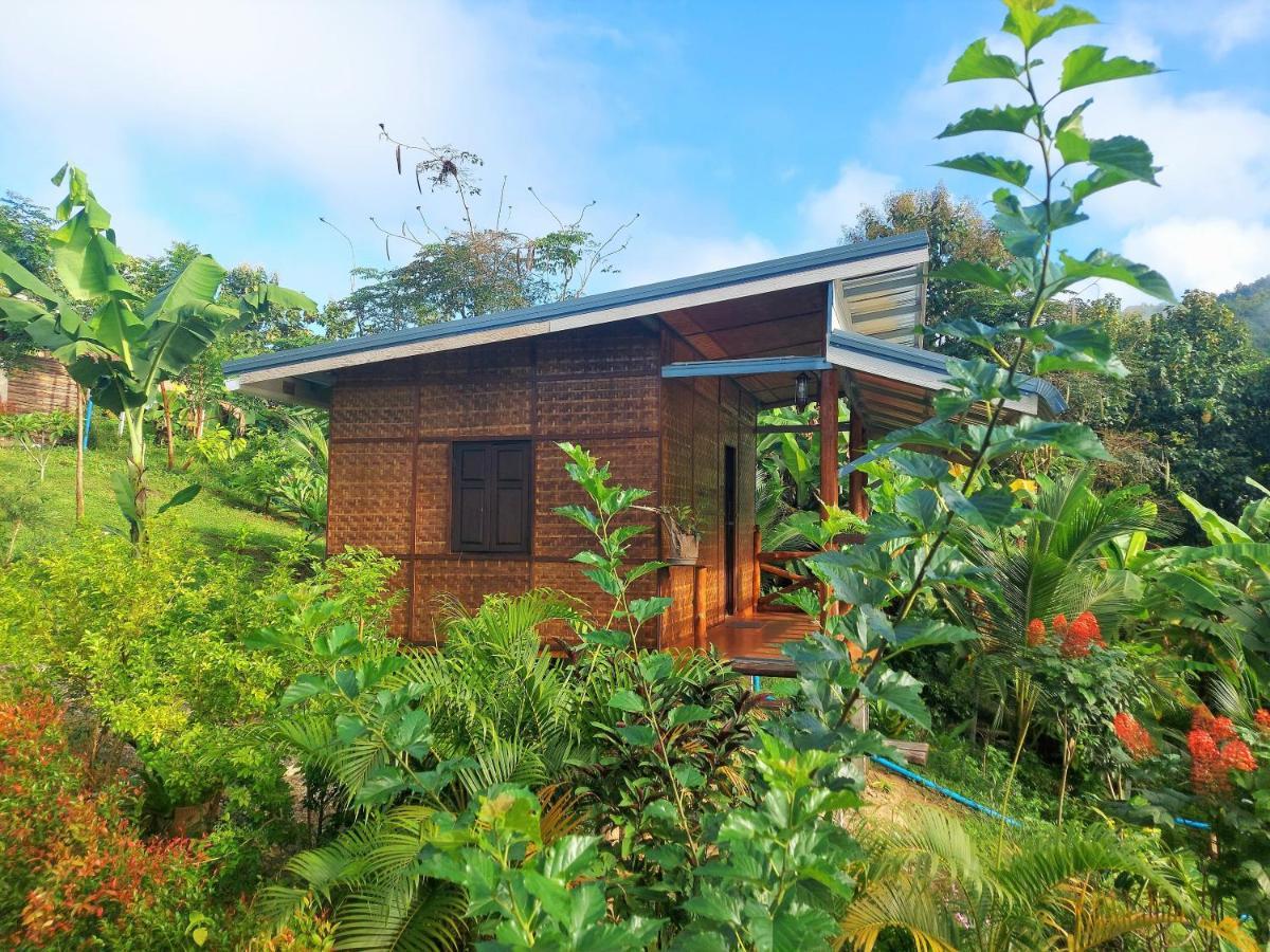 True Nature Chiang Mai - Yoga & Meditation Homestay Retreat Екстер'єр фото