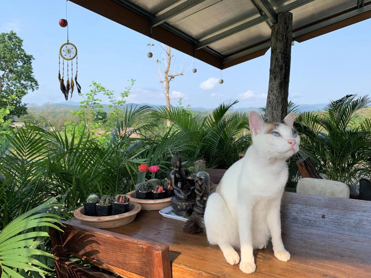 True Nature Chiang Mai - Yoga & Meditation Homestay Retreat Екстер'єр фото
