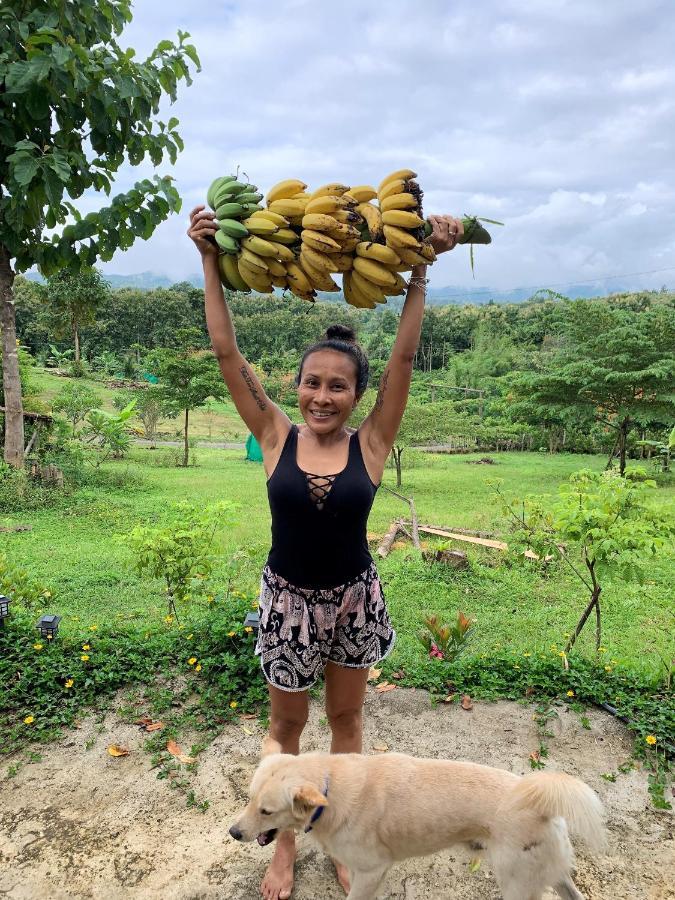 True Nature Chiang Mai - Yoga & Meditation Homestay Retreat Екстер'єр фото