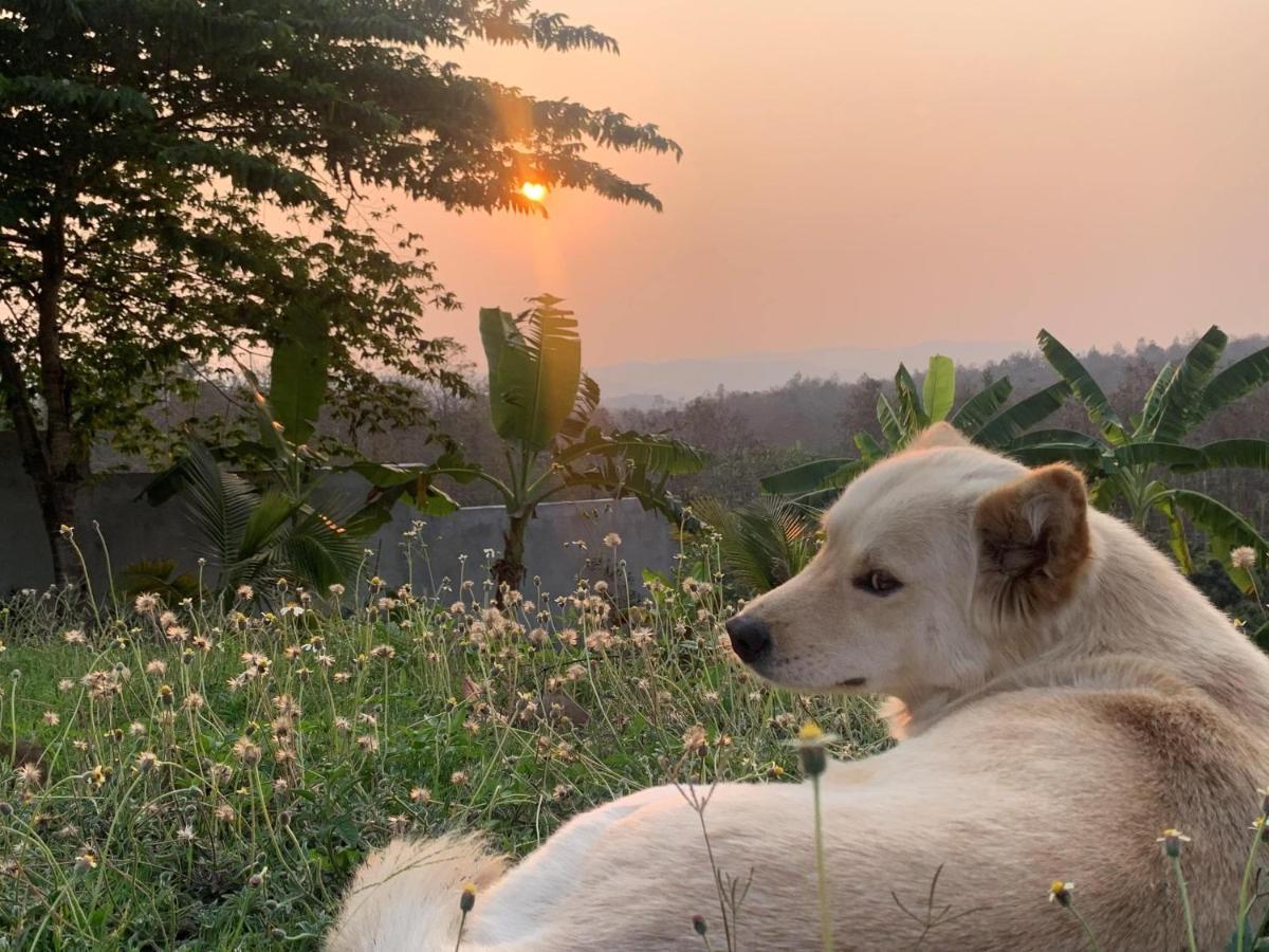 True Nature Chiang Mai - Yoga & Meditation Homestay Retreat Екстер'єр фото