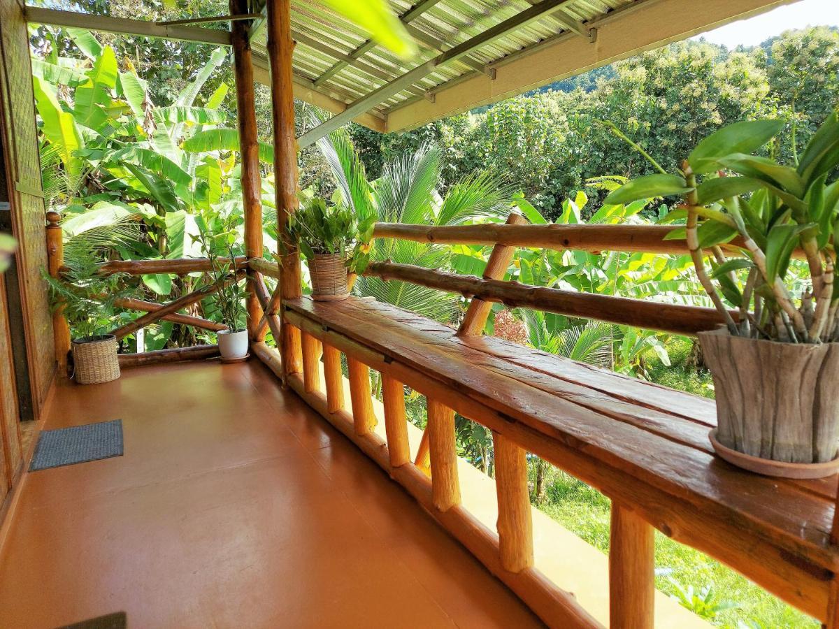 True Nature Chiang Mai - Yoga & Meditation Homestay Retreat Екстер'єр фото